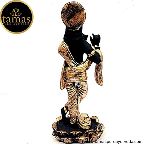 Tamas Brass Handcrafted Lord Krishna Murti Statue/ Idol with Antique Finish ( Black & Golden) (Pack of 1)